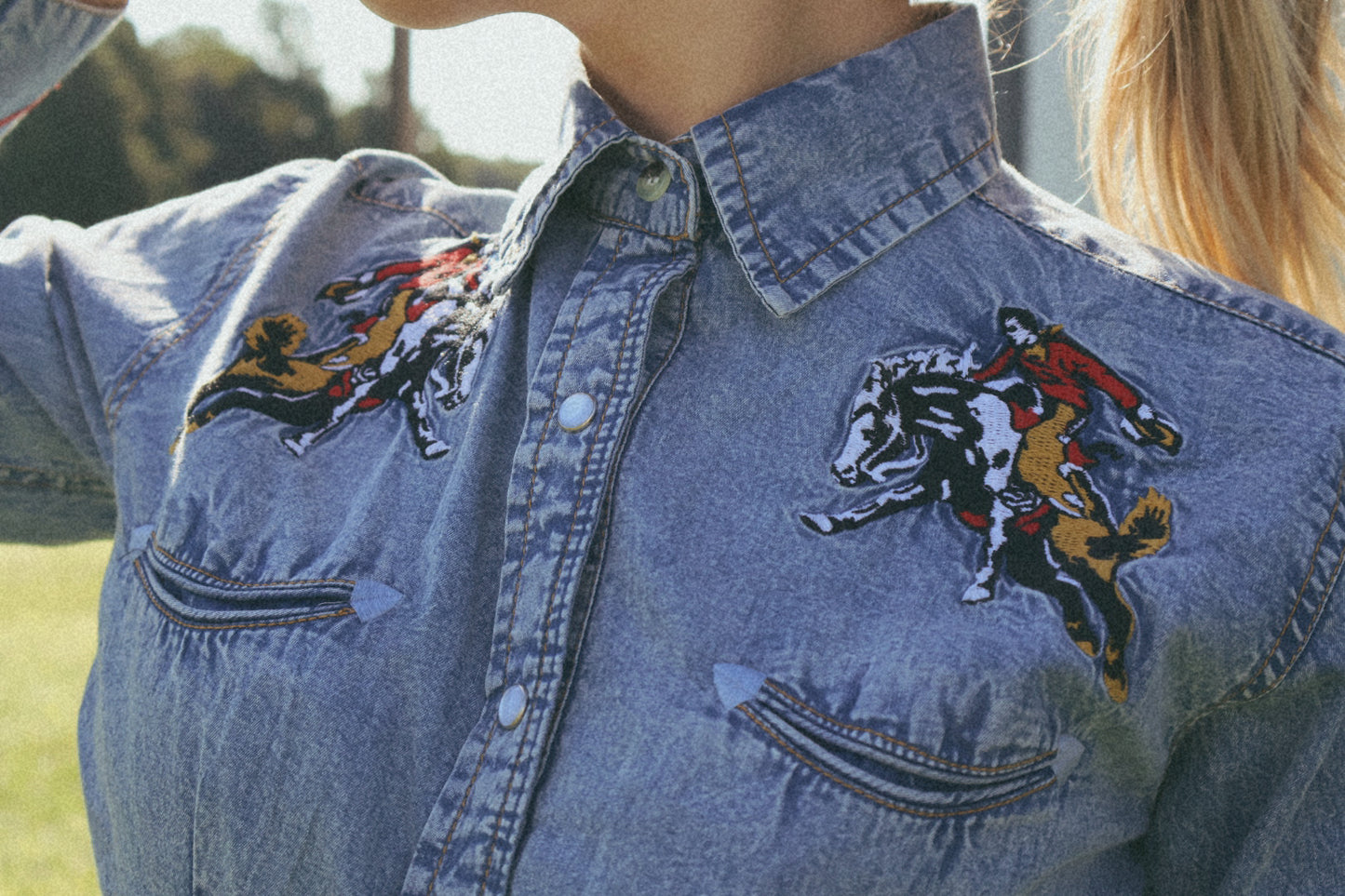 Rockmount Ranch Wear Embroidered Shirt