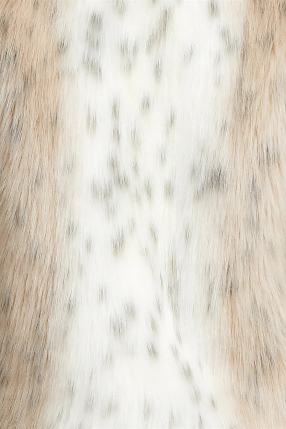 Wild Dream Jacket