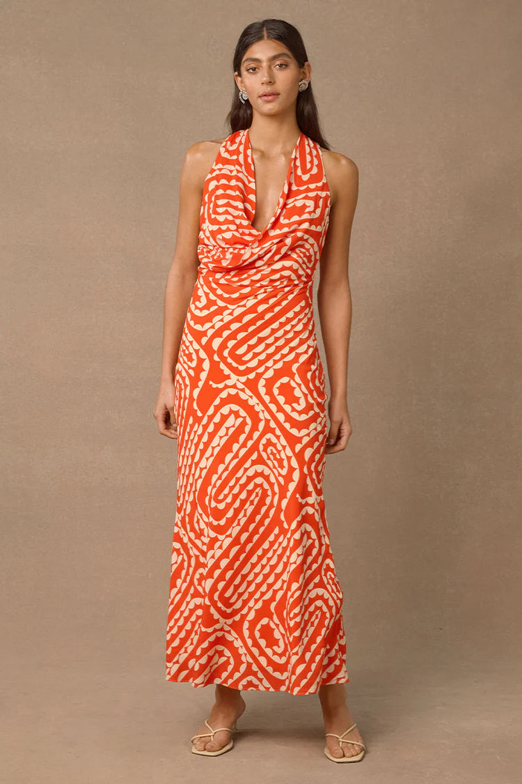 Tempo Print Maxi Dress