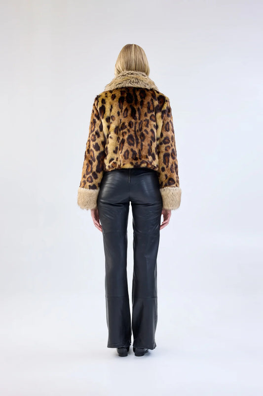 Hidden Tiger Jacket