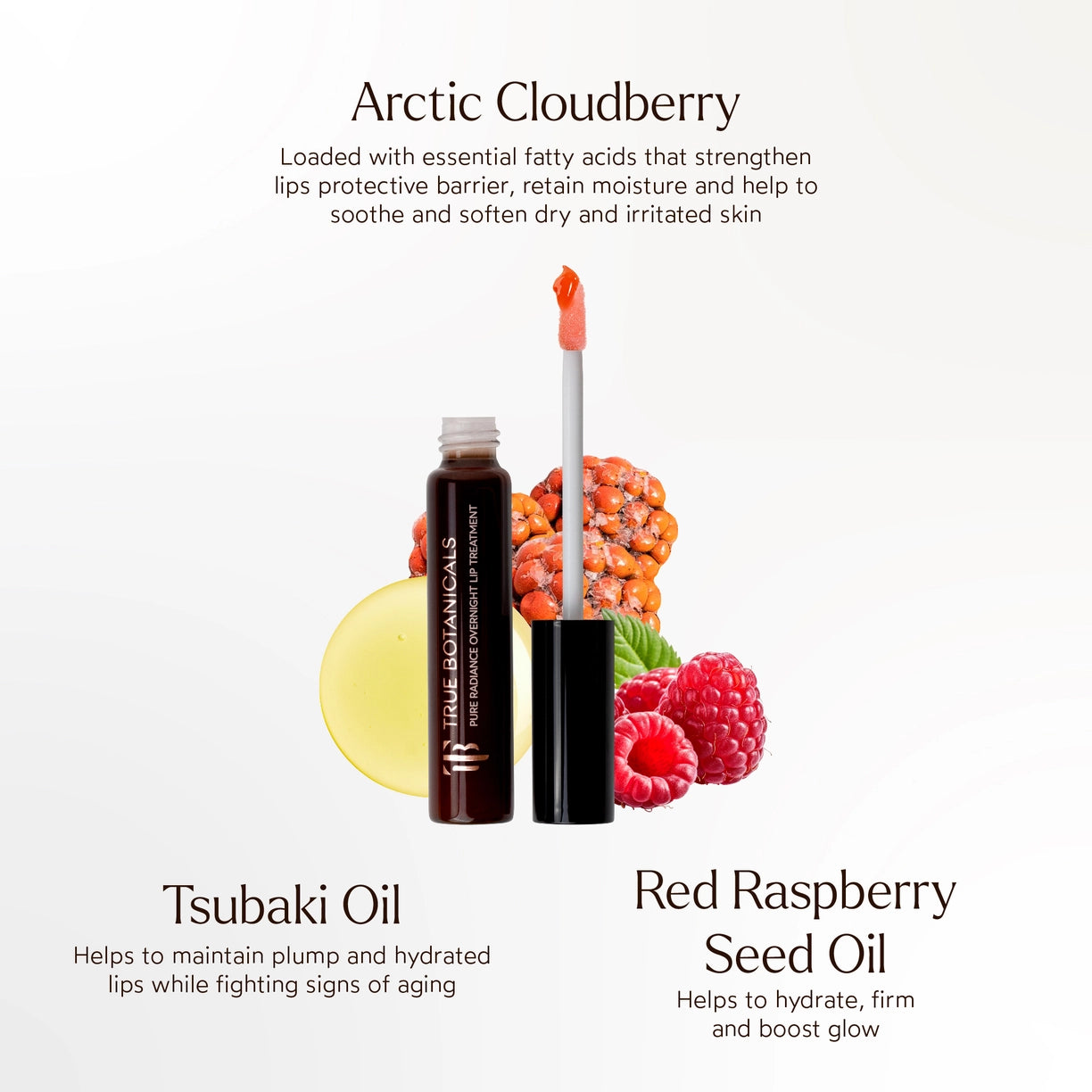 Overnight Repair Lip Treatment