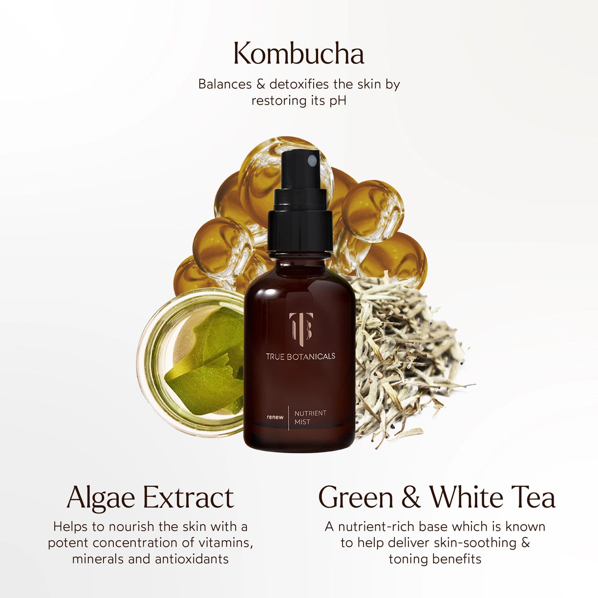 Renew Nutrient Face Mist