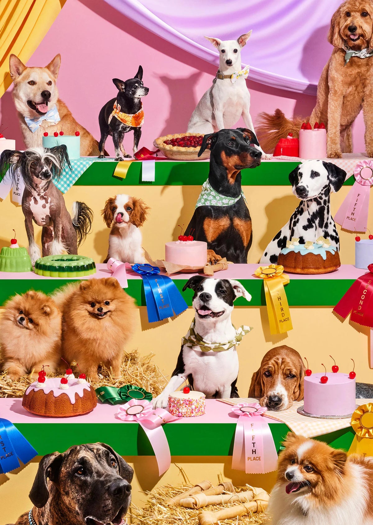 Top Dog-1000 Piecework Puzzle